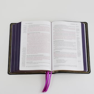 Free Chapter Downloads